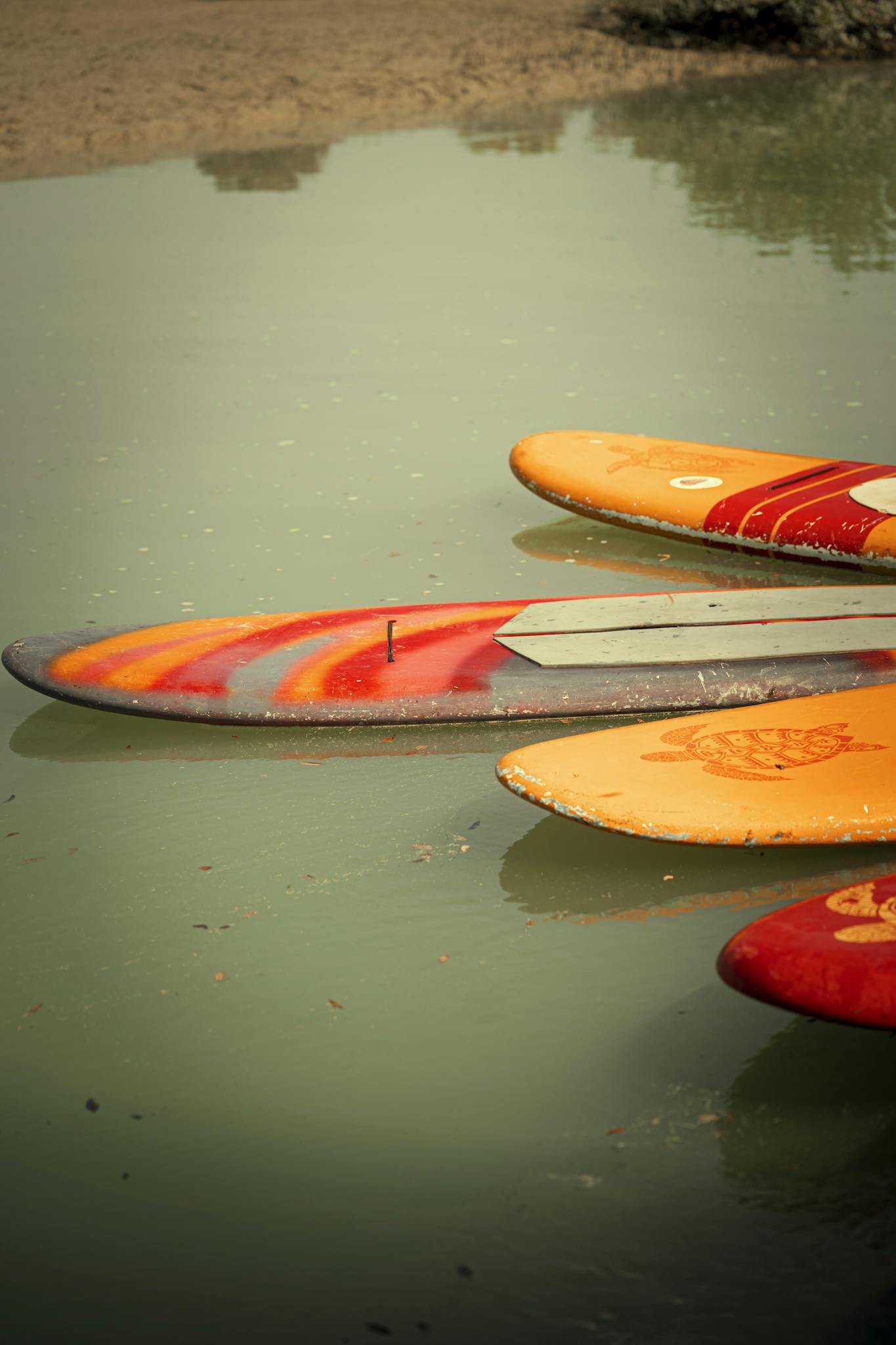 Vibrant surfboards resting peacefully on tranquil water, perfect for summer adventures.